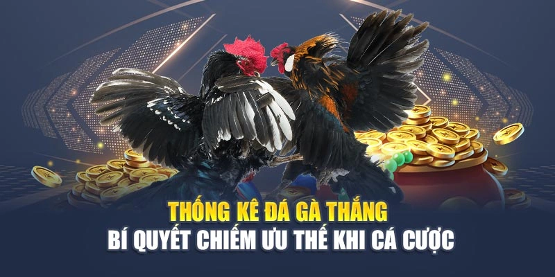 Thống Kê Đá Gà Thắng – Bí Quyết Chiếm Ưu Thế Khi Cá Cược